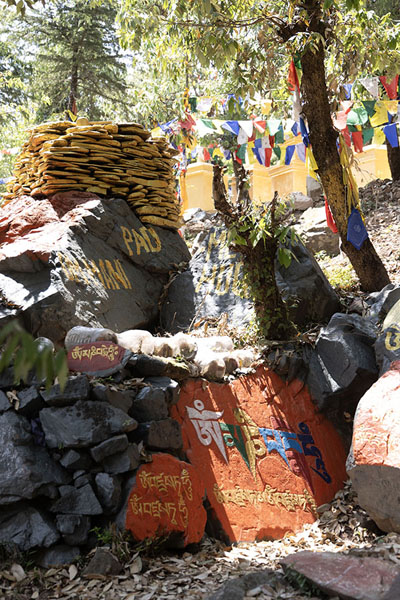 Foto di Tibetan writings on stones and prayer flags along the kora circuitDharamshala - India