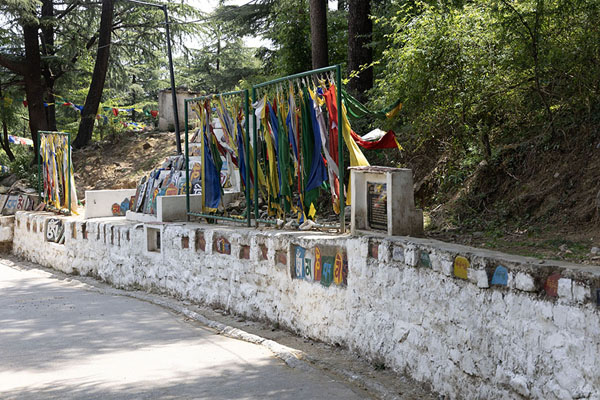 Foto van Kora circuit with colourful painted stones with religious writingsDharamshala - India