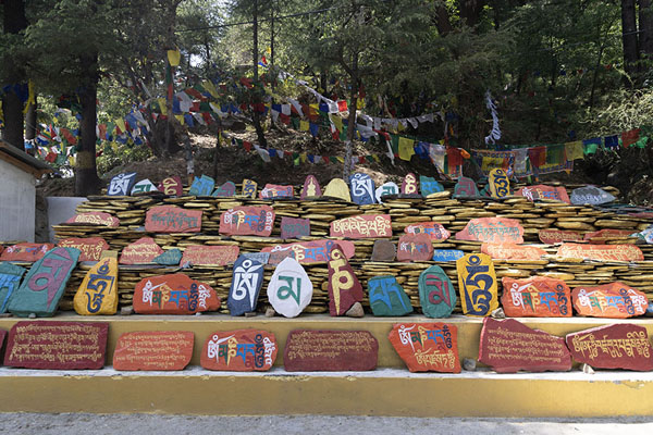 Foto di Rows with slabs of colourful stones with characters and prayer flags in the backgroundDharamshala - India