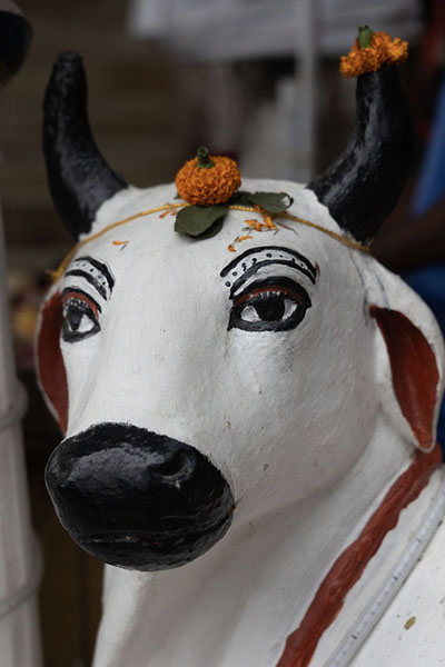 Photo de Close-up of a cow statue in Umananda temple on Peacock IslandGuwahati - Inde