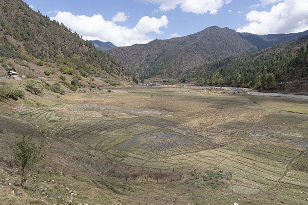 Foto di View over the fields of Sangti ValleyValle di Sangti - India