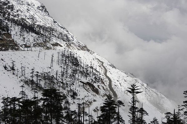 Foto de Clouds with trees on the slopes of Sela PassSela Pass - India