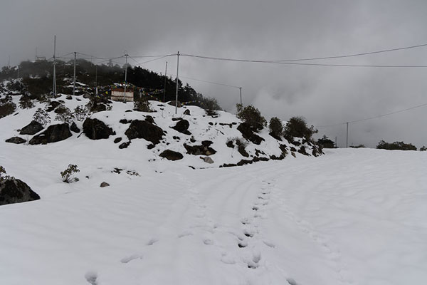 Picture of Snow covered road to Sela PassSela Pass - India