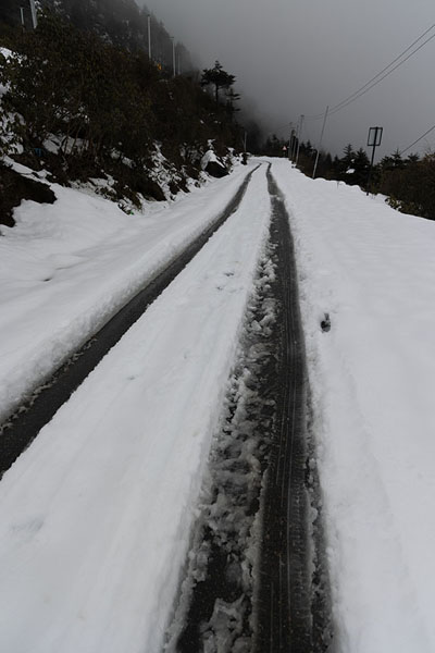 Foto de Tracks in the snow on the road to Sela PassSela Pass - India