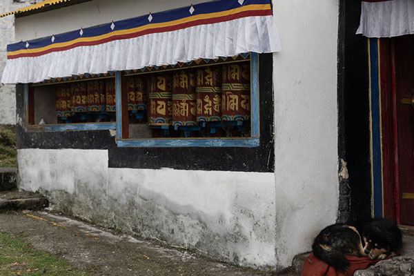 Colourful prayer wheels in Tawang monastery | Monasterio de Tawang | India