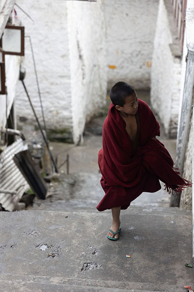 Foto di Young monk walking up the stairs inside the residential area of Tawang monasteryTawang - India