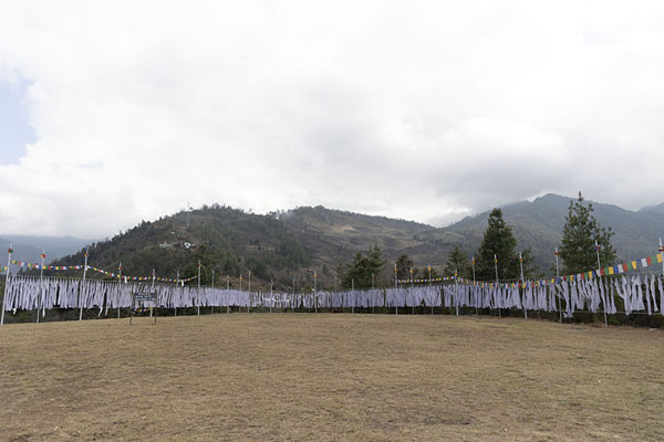 Row of white flags at the southern side of Zangpokdalri monastery | Zangpokdalri klooster | India