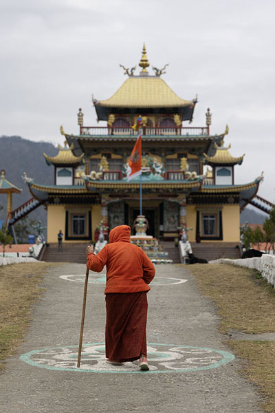 Foto di Old lady walking towards the temple of Zangpokdalri monasteryZangpokdalri - India