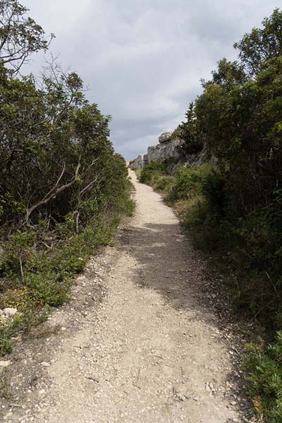 Foto van Trail on San Nicola islandTremiti - ItaliÃ«