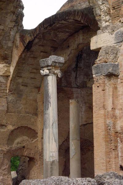 Column in the remains of the Temple of Serapis | Villa Adriana | Italy