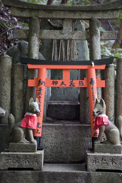 Two foxes guarding torii at a small shrine on the slopes of Inari-san | Fushimi Inari-taisha | Japan