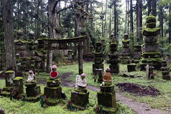 Dwarfed by ancient cedar trees: tombs in the Okunoin cemetery grounds in Koyasan | Koyasan | Giappone