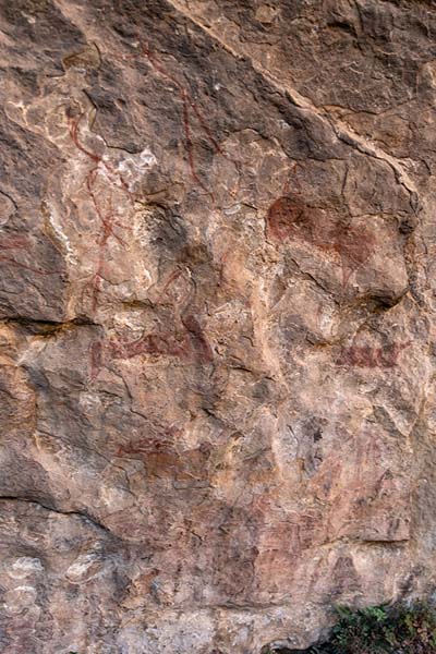 Detail of the rock art in the Liphofung cave | Liphofung caves | Lesotho