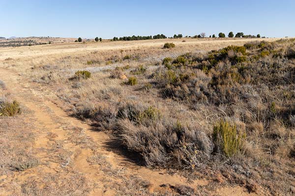 Foto van Trail over the plateau on which Thaba Bosiu is locatedThaba Bosiu - Lesotho