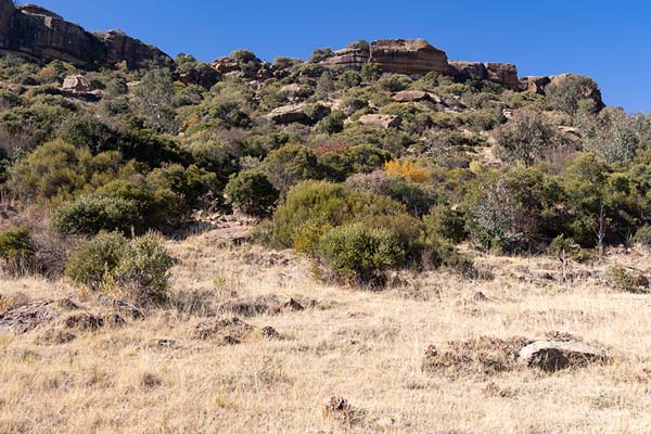 Photo de Looking up the mountain above Tsikoane where dinosaurs once roamedTsikoane - Lesotho