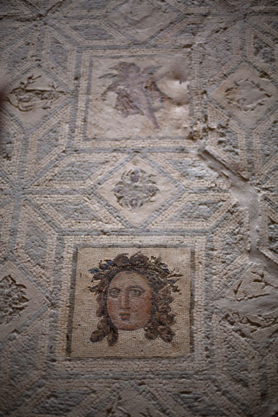 Mosaic in Villa Selene, with a cleaned head | Villa Selene | Libia