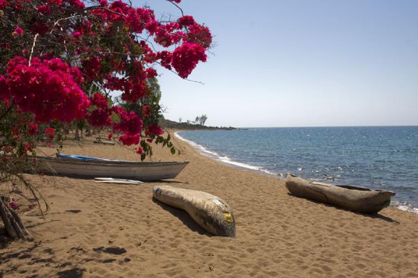 Dug-out canoes on a beach of Likoma Island | Likoma Island | Malawi