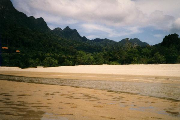 Beach with lush tropical vegetation on Langkawi Island | Langkawi Island | Malaysia