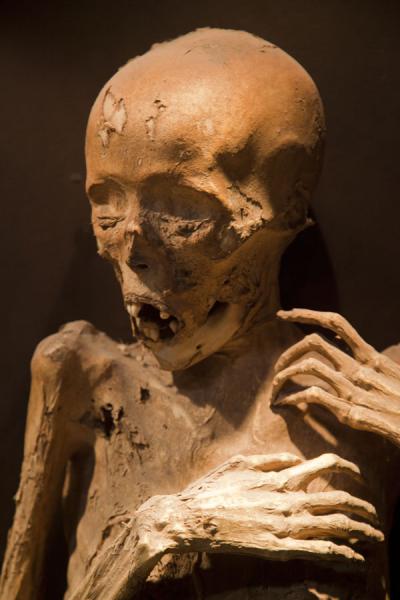 Mummy turning into a skeleton | Mummies Museum | le Mexique