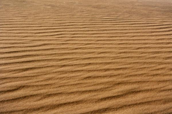 Picture of Wind and gravity are constantly redefining the shape of the dunes. (Namib Desert, Namibia)