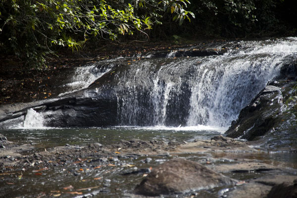 Pool with rapids in the Nqertebechel river near Ngardmau | Ngardmau waterfall | Palau