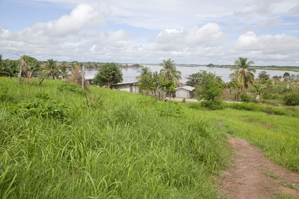 View over the lower part of Angoram with the Sepik river in the background | Angoram | Papua New Guinea