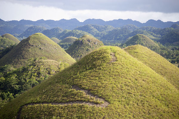 The Chocolate Hills of Bohol, Philippines - Times of India Travel