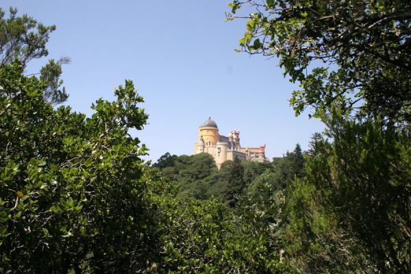 Picture of Palace of Pena (Portugal): Palace of Pena viewed from a distance