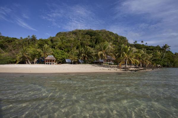 Picture of Namua island