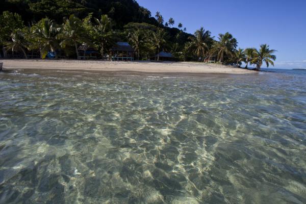 Picture of Namua island (Samoa): Looking at the beach of Namua island from the clear waters surrounding the island