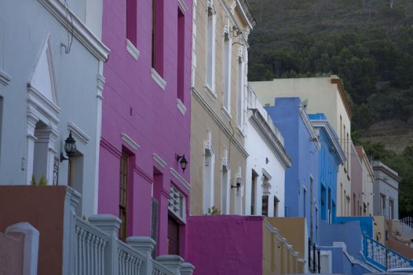 Picture of Row of colourful houses in Bo-KaapCape Town - South Africa