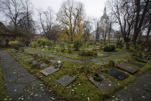 Picture of Cemetery in a corner of the small park with Katarina Kyrkan in the backgroundStockholm - Sweden
