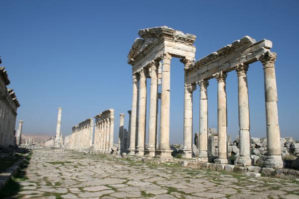 Picture of Remains of portico with votive column in a distance on the cardoApamea - Syria