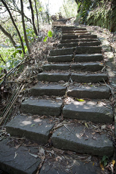 Stone steps are often found on Sandiaoling waterfall trail | Sandiaoling Waterfall Trail | Taiwan