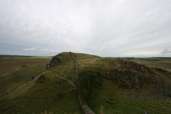 Picture of Hadrian's Wall (United Kingdom): Sycamore Gap with Hadrian's Wall and tree