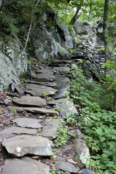 Rocky stairs on the Whiteoak Canyon Trail | Shenandoah National Park | United States