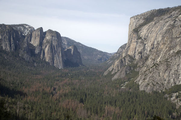 Picture of Yosemite landscapes (United States): Forest-covered Yosemite Valley with granite mountains on either side