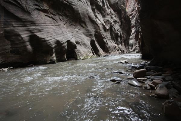 Virgin River cutting through a narrow stretch of canyon | Zion National Park | United States