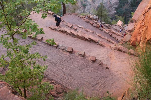 Picture of The famous twenty-one zigzags between Refrigerator Canyon and Scout Lookout (Zion, United States)