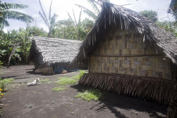 Some of the traditional style houses at Port Resolution | Port Resolution | Vanuatu