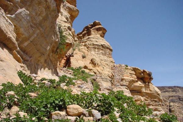 Picture of Kawkaban mountain (Kawkaban, Yemen)