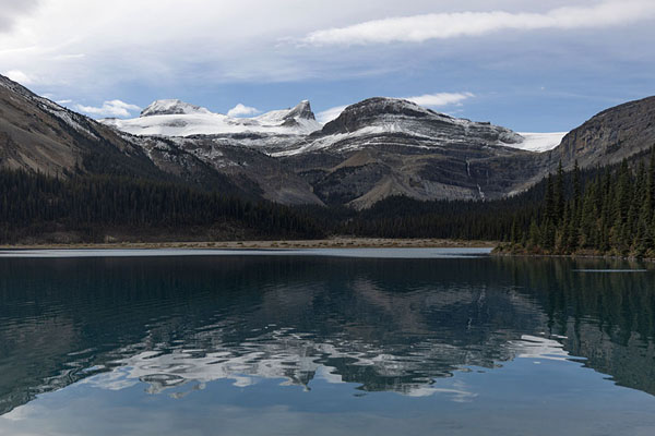 Picture of Bow Lake with landscape of mountains and trees mirrored in the quiet water - Canada