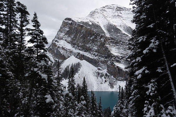 Picture of Jasper Banff National Parks (Canada): View of Lake Louise from the trail up to Lake Agnes