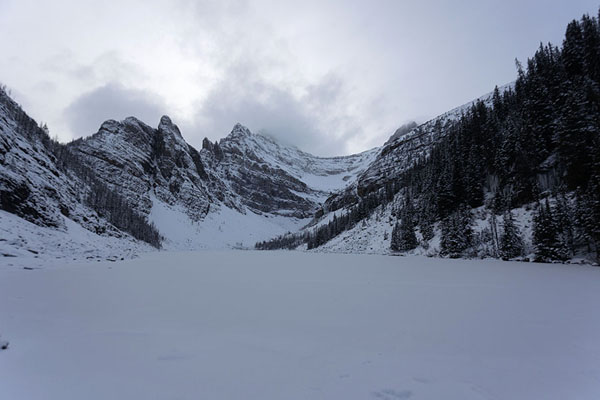 Picture of Jasper Banff National Parks (Canada): Lake Agnes, frozen and snow-covered