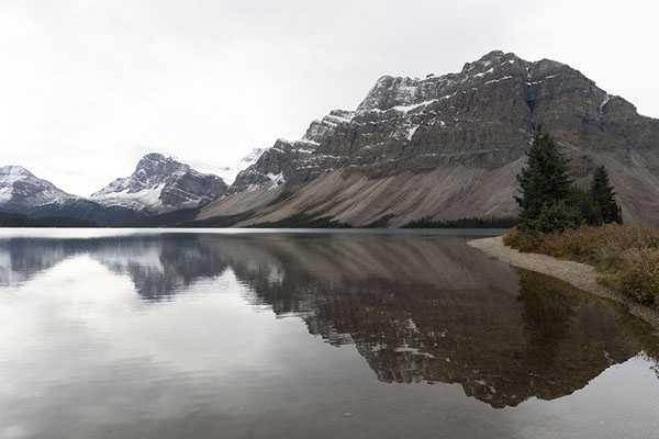 Picture of Jasper Banff National Parks (Canada): Quiet waters of Bow Lake mirroring the surrounding landscape of mountains and trees