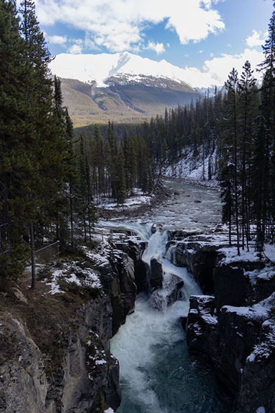 Picture of Sunwapta Falls in Jasper National Park - Canada