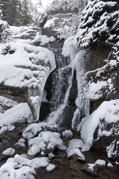 Picture of Half frozen falls just under Lake Agnes - Canada